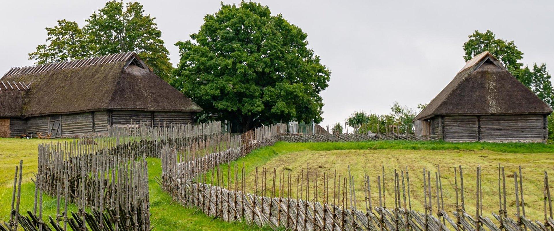 Tammsaare muuseum Vargamäel on kirjaniku sünnikodu, mis inspireeris teda kirjutama romaani Tõde ja õigus. See on koht, kus kanged naabrimehed Andres j