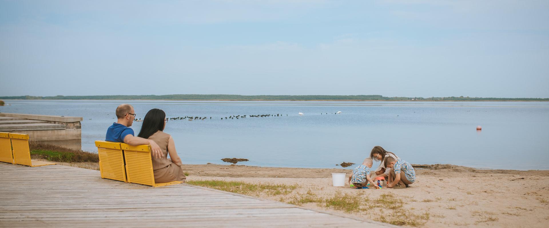 For most of the year the Gulf Tagalaht in Haapsalu is an exciting place for birdwatching. There is no need to leave town, simply visit the 15-metre hi