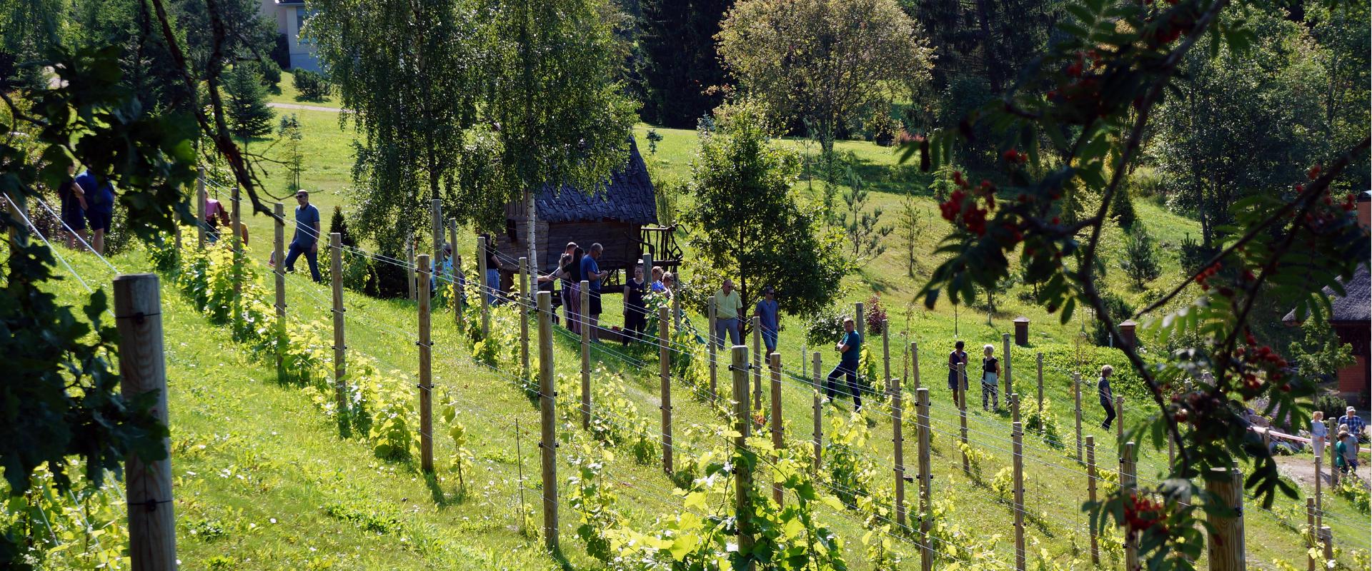 Murimäe Wine Cellar opens its doors to guests and takes them to the vineyard to show how high-quality Estonian artisanal wine is made. The secret to g