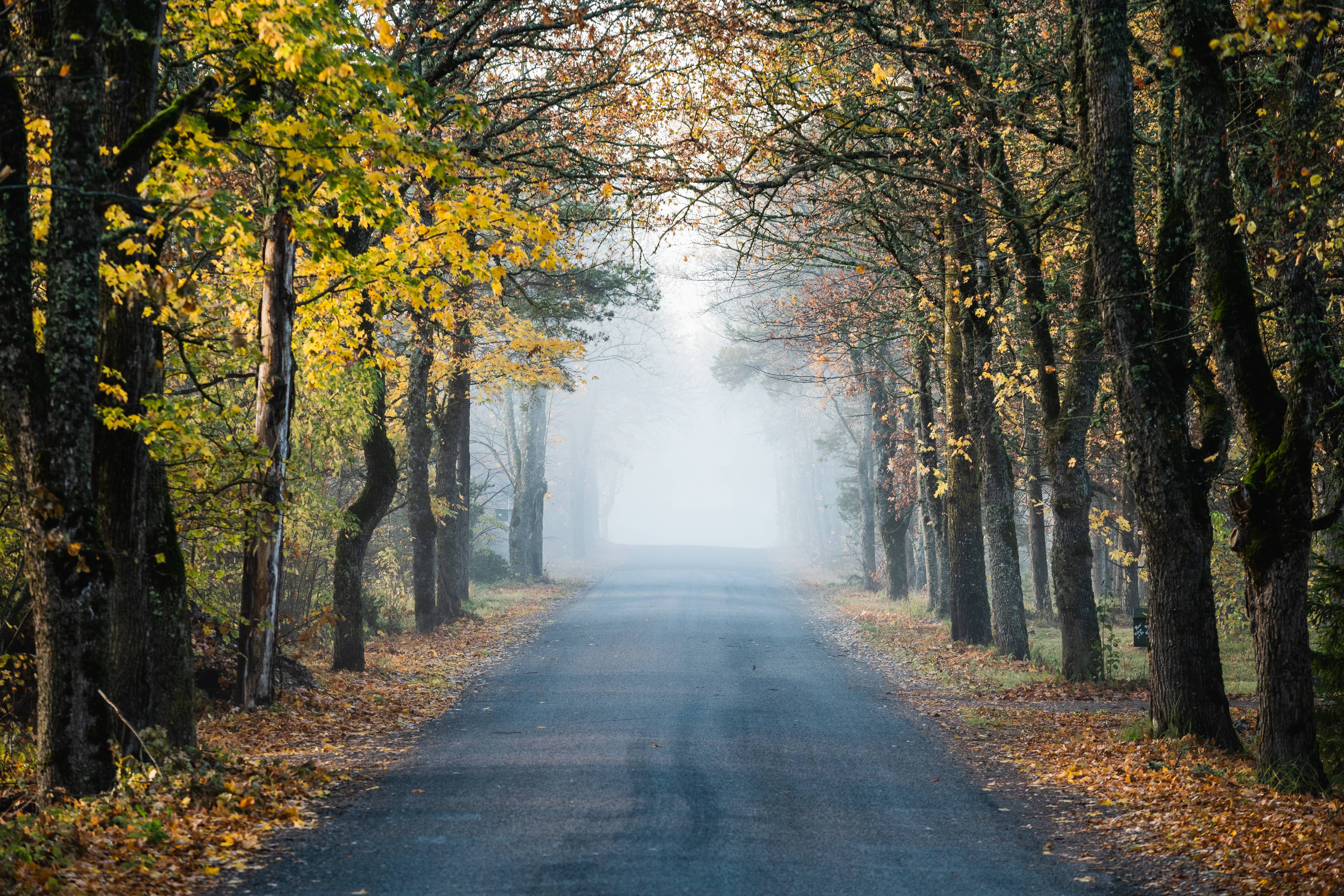 Autumn's spiritual holidays