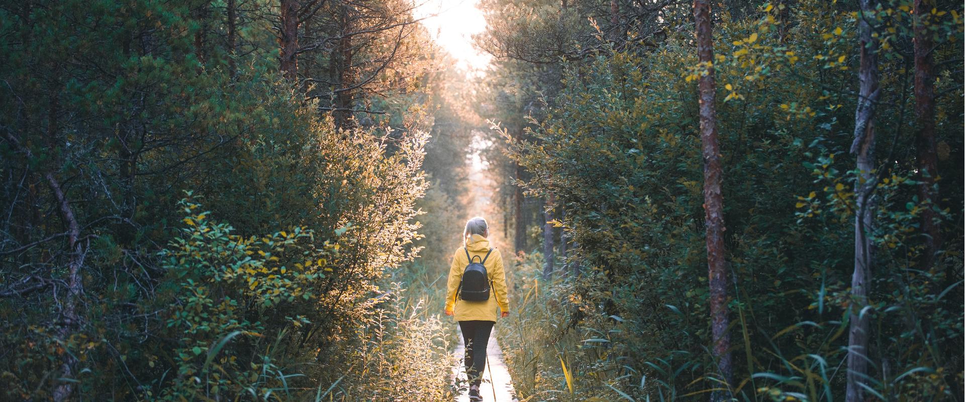 Marimetsa Bog Hiking Trail