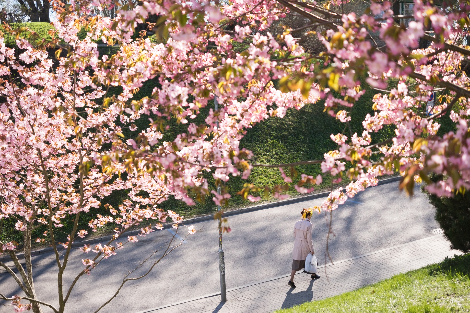 Celebrate springtime in Estonia