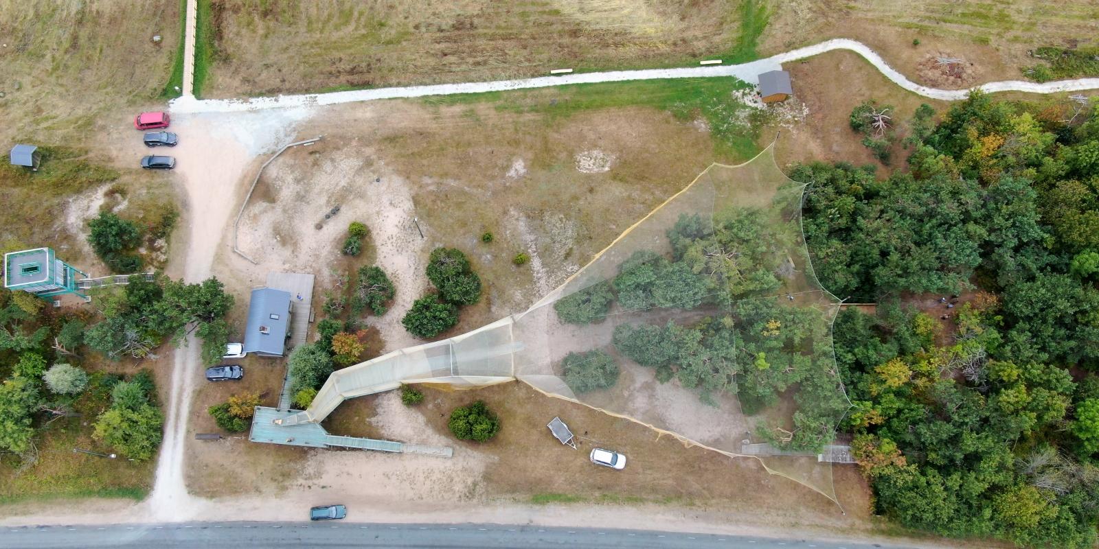 In autumn, a giant, 17-metre high mesh net is erected at the Kabli bird centre in order to catch birds to be ringed and to study their migratory habit