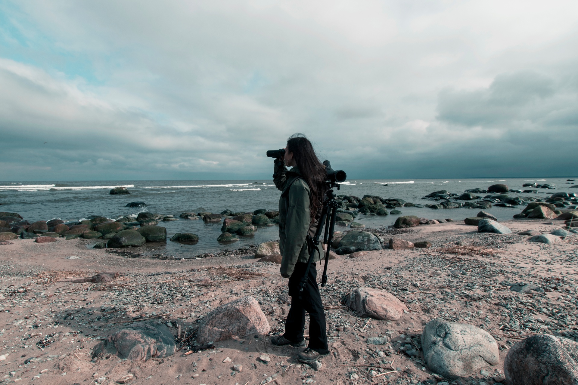 Birdwatching on Estonia's rocky Baltic coastline