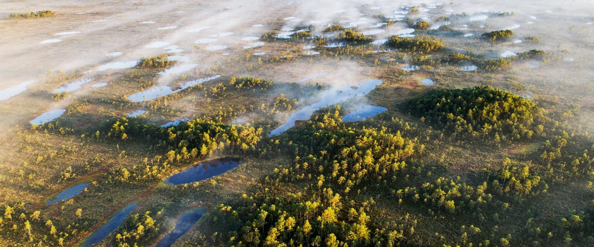 The 5-kilometre long Hüpassaare hiking trail winds through stunning forest to the Kuresoo bog. The trail starts at a camping site, where it is also po