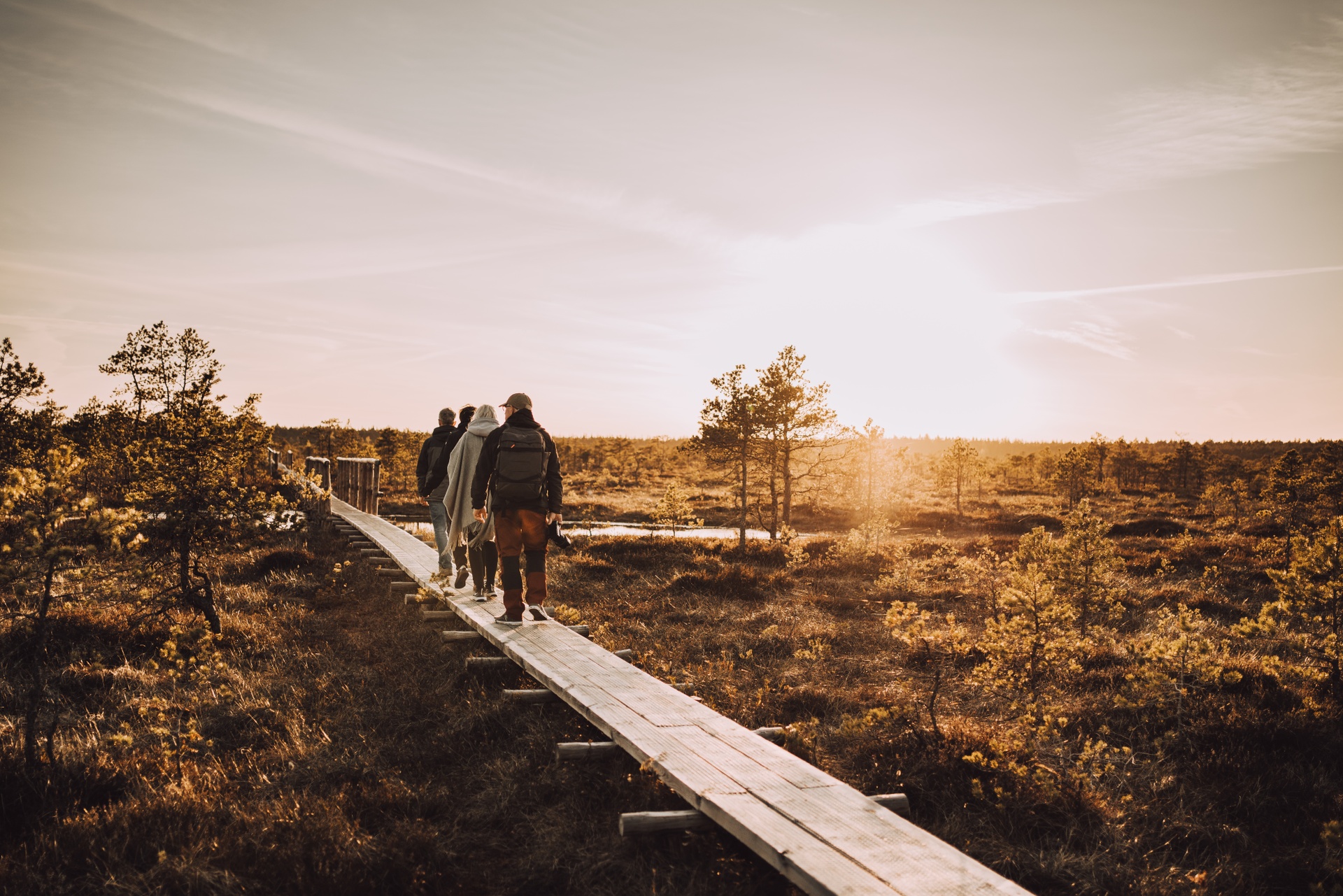 hiking in the bog with friends