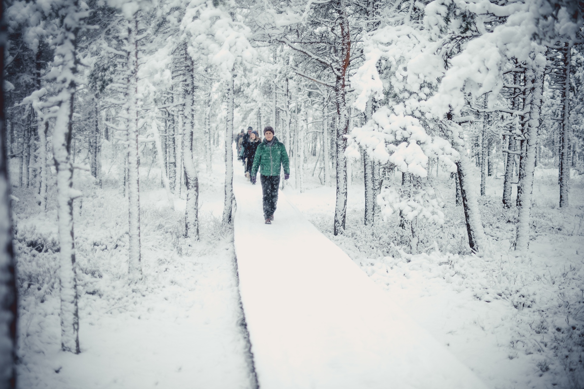 Thick snow covers the boardwalk in Viru Bog.