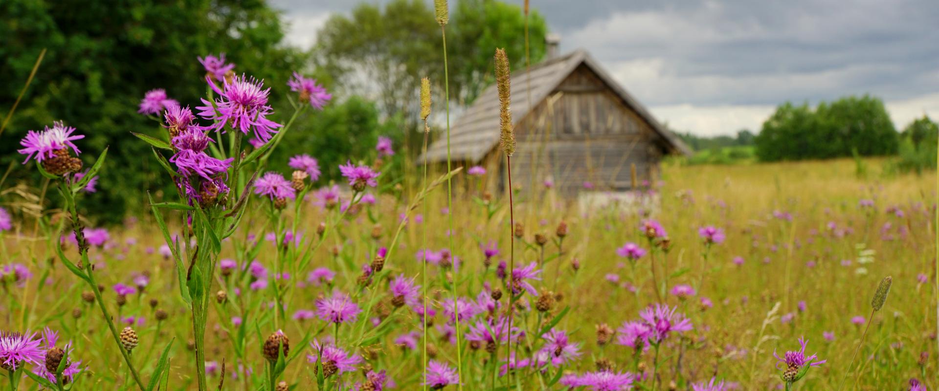 The aim of the day in nature is to discover the world and nuances of how nature works, contribute to preserving biodiversity and handling climate chan