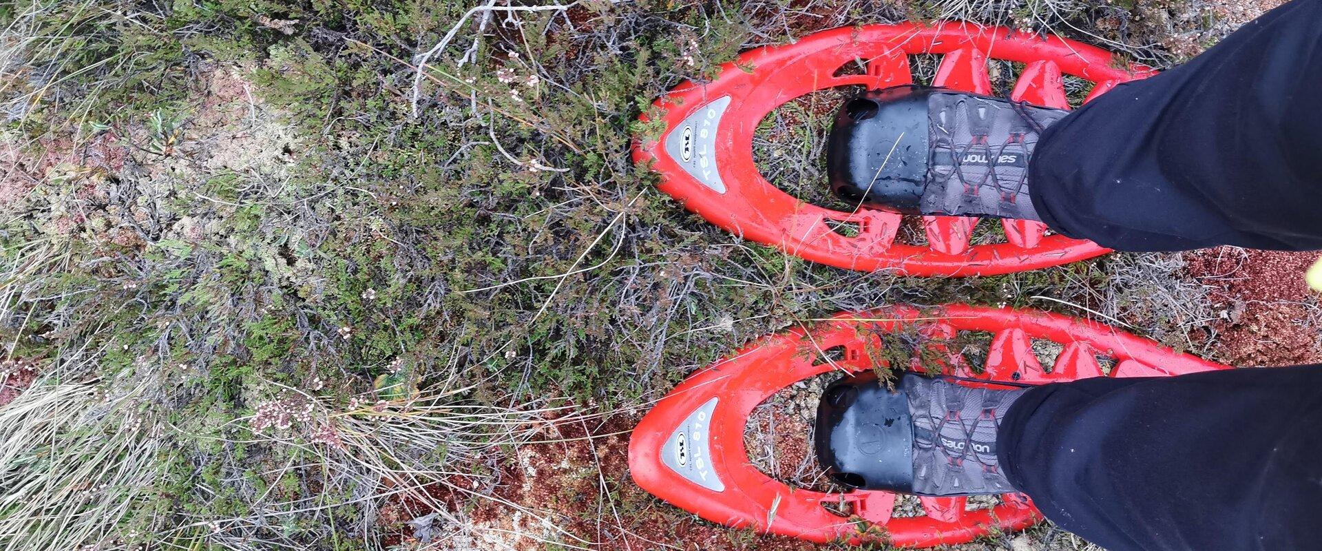 Lindi Bog is located in the 1,100 hectare Lindi Nature Reserve. As boardwalks have not been built in Lindi Bog, special bog shoes are perfect for disc