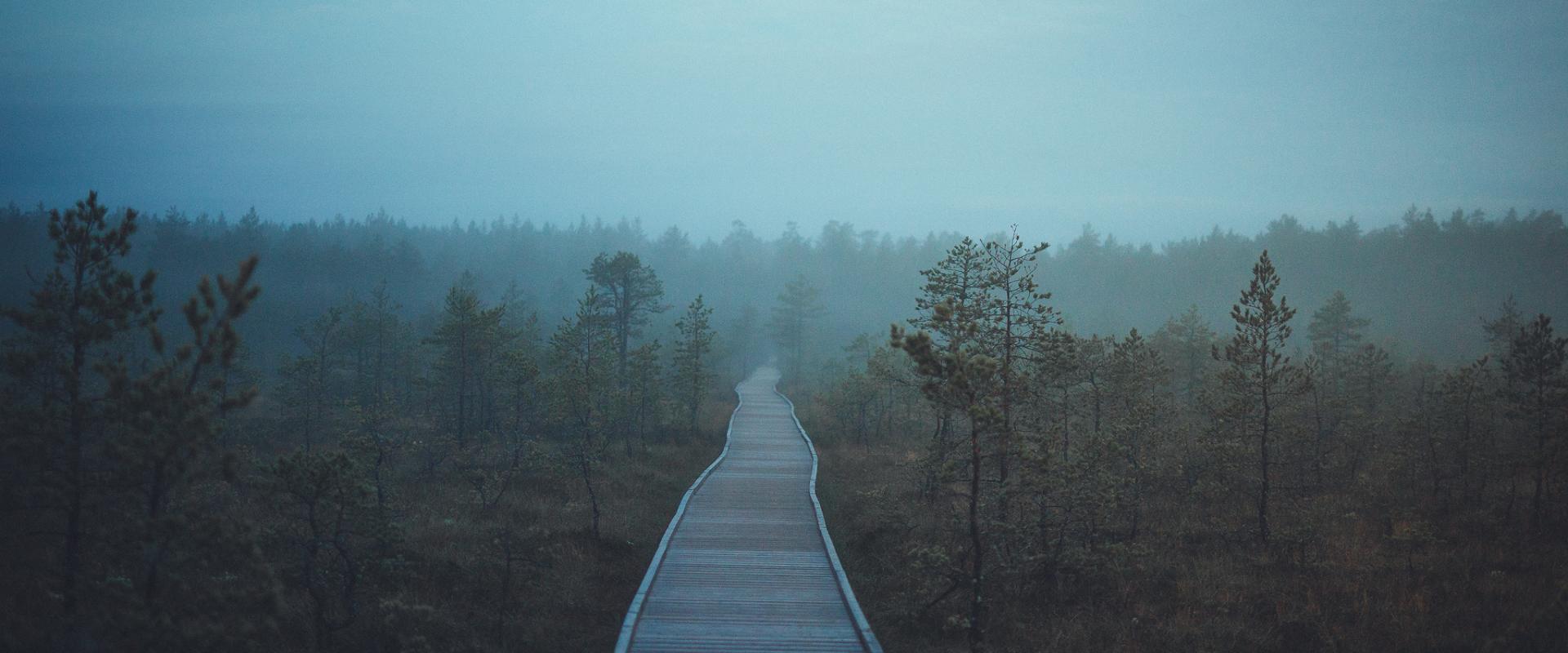 Viru Bog, one of the most accessible bogs in Estonia, passes through the forest and bog landscapes characteristic of Lahemaa National Park. The trail 