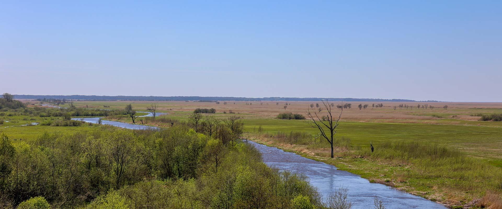 The tower on the left bank of River Kasari offers magnificent views of the water-meadow which is a stopping place for ducks, geese, swans, and Charadr