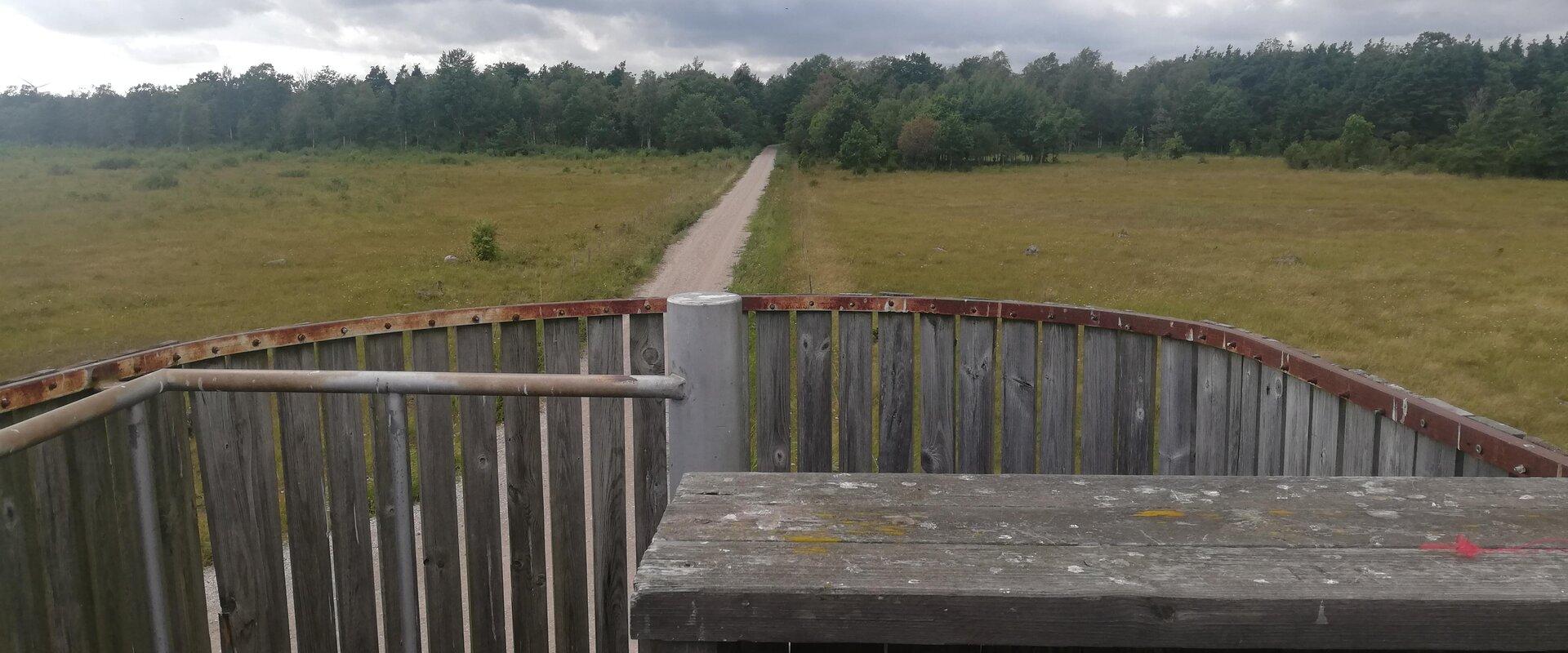 The nature and birdwatching tower in Loode oak forest was finished in 2003. The tower is located close to the city, in the recreation ground – in Lood