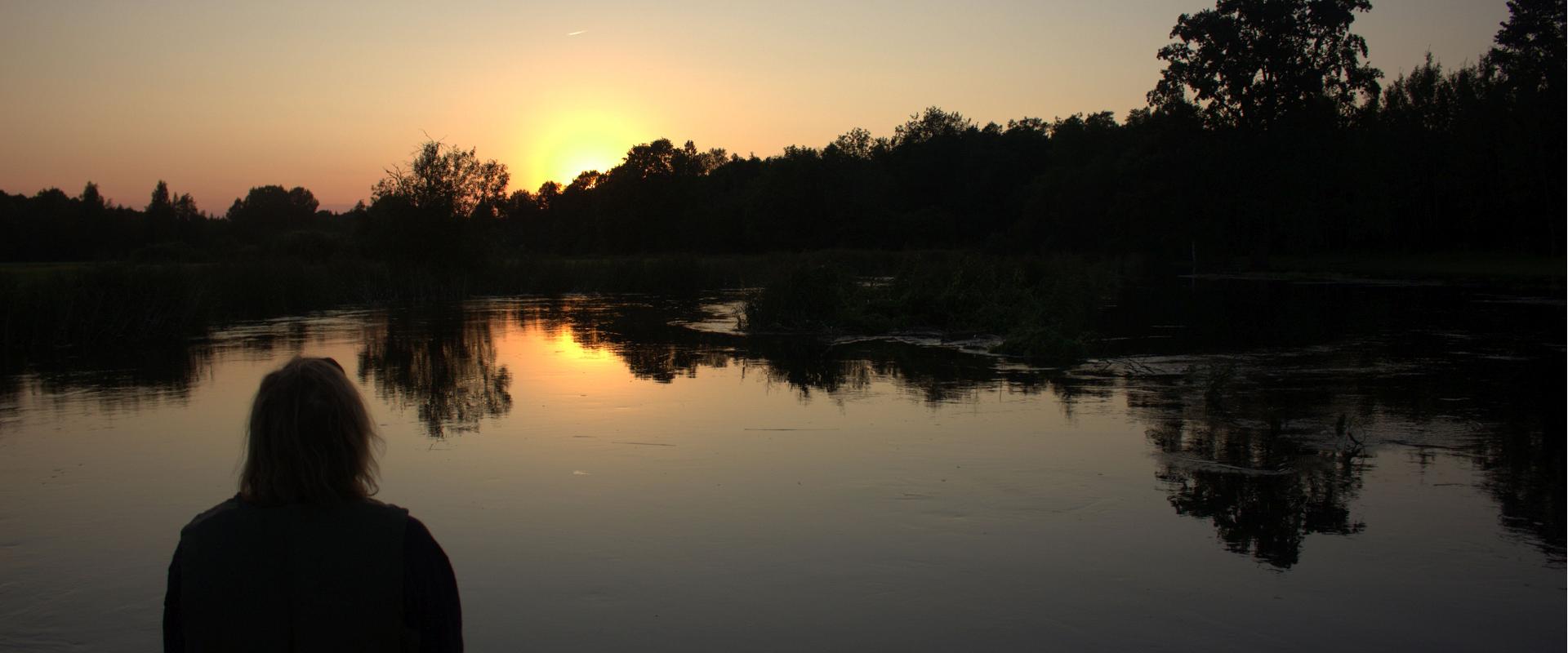 Beavers prefer to move around in the night and rest during the daytime. Therefore, the beaver safaris with canoes take place in the evening, when beav