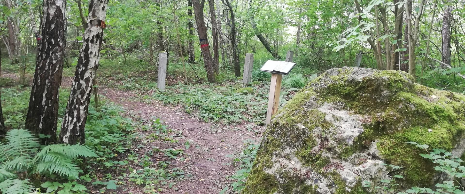 Dabas takas vijās pa savdabīgu ainavu, ko raksturo militāras iekārtas un koku birzis. Marķētajām dabas takām ir dabīgs segums, kas galvenokārt paredzē