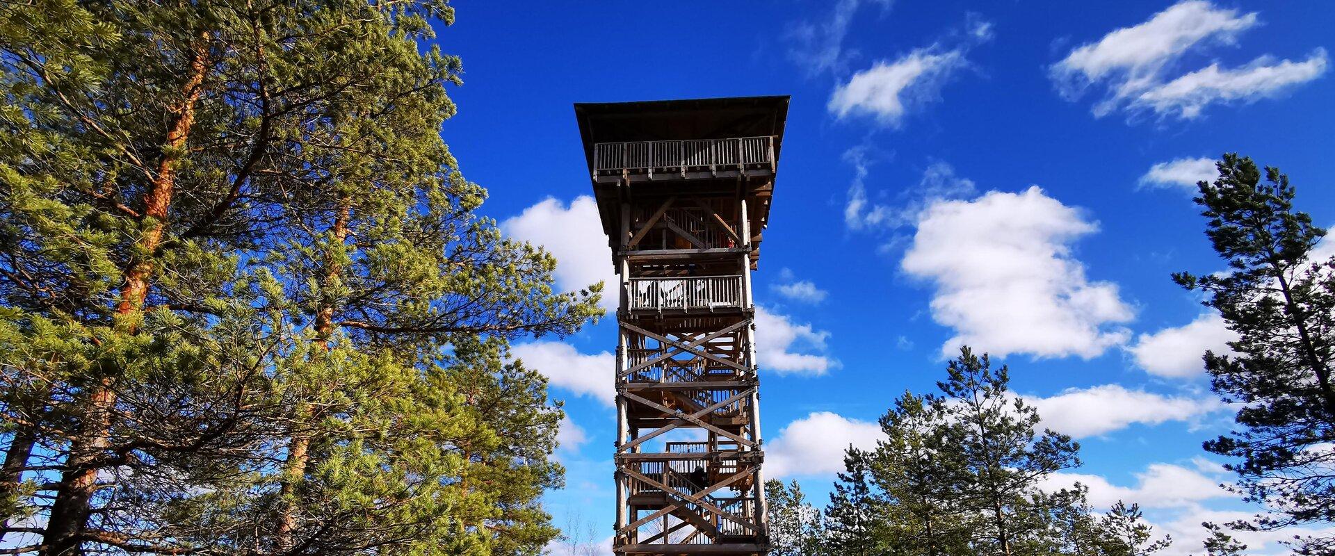 Mukri bog that formed around 9,000 or 10,000 years ago was once a lake. It is thought to be one of Estonias oldest bogs. Did you know...? *Mukri bog h