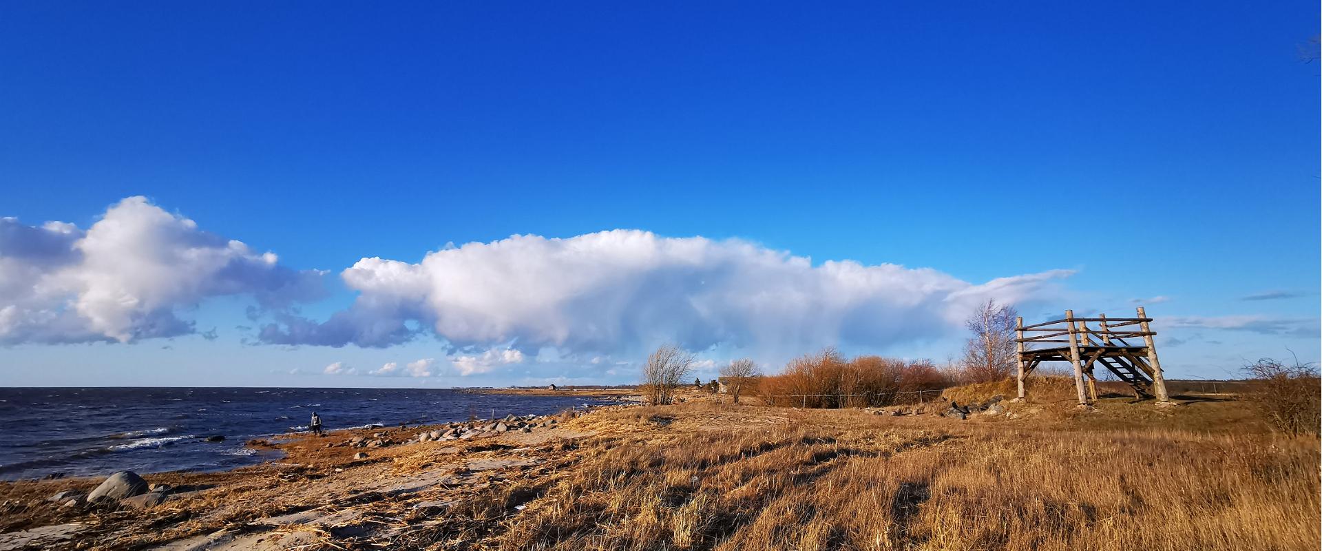 Near the Pikla ponds in Luitemaa Nature Protection Area, there are two birdwatching towers – one is between the ponds and the second one, which is not