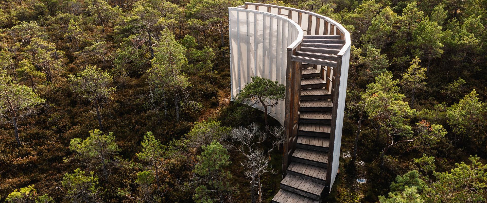 Tuhu Bog and Hiking Trail