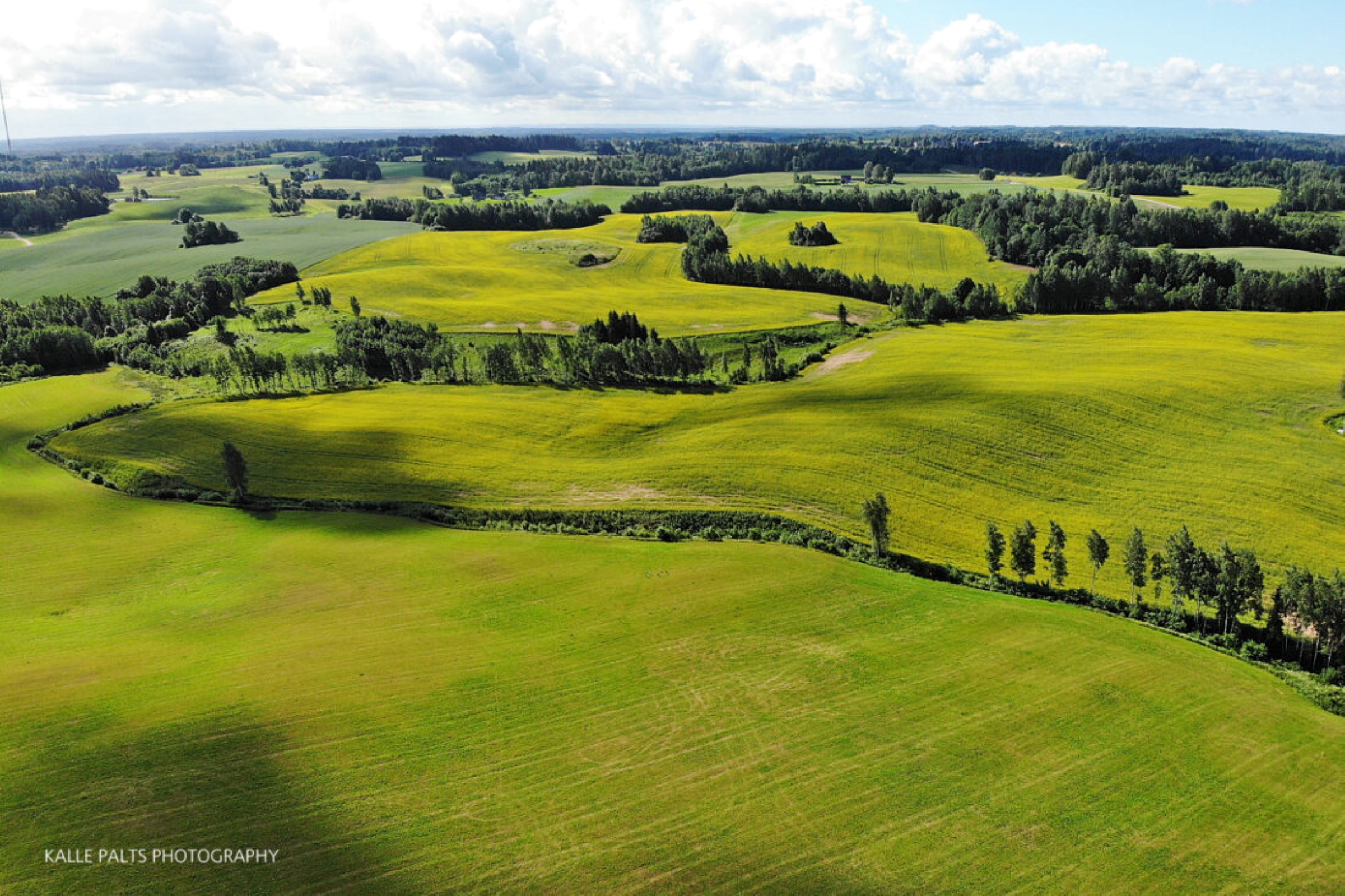 Cycling trip in the dome landscape of Võru County