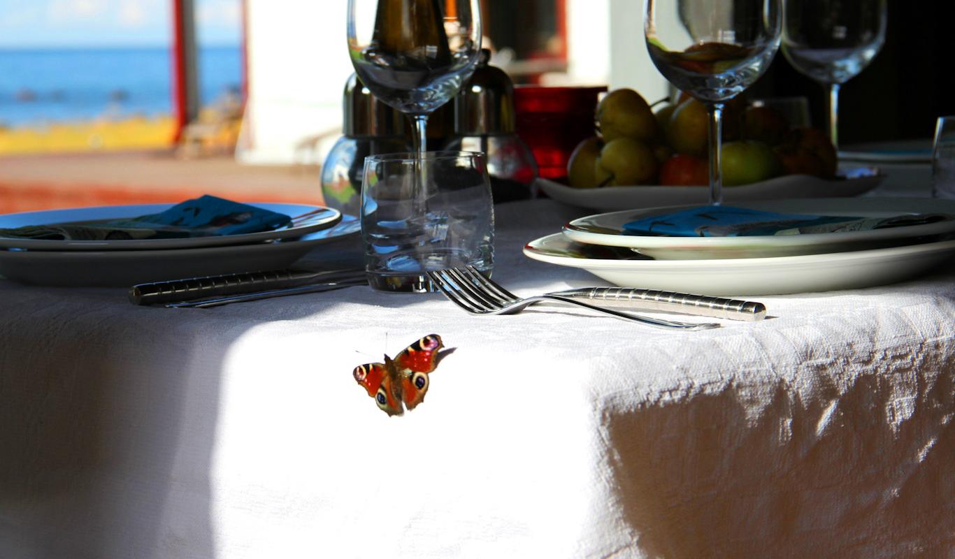 Laid table at the Mer-Mer home restaurant