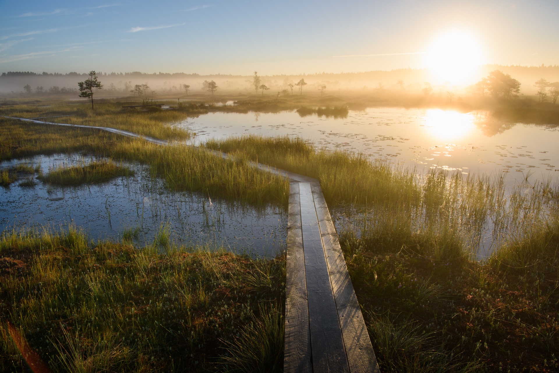 Soomaa National Park