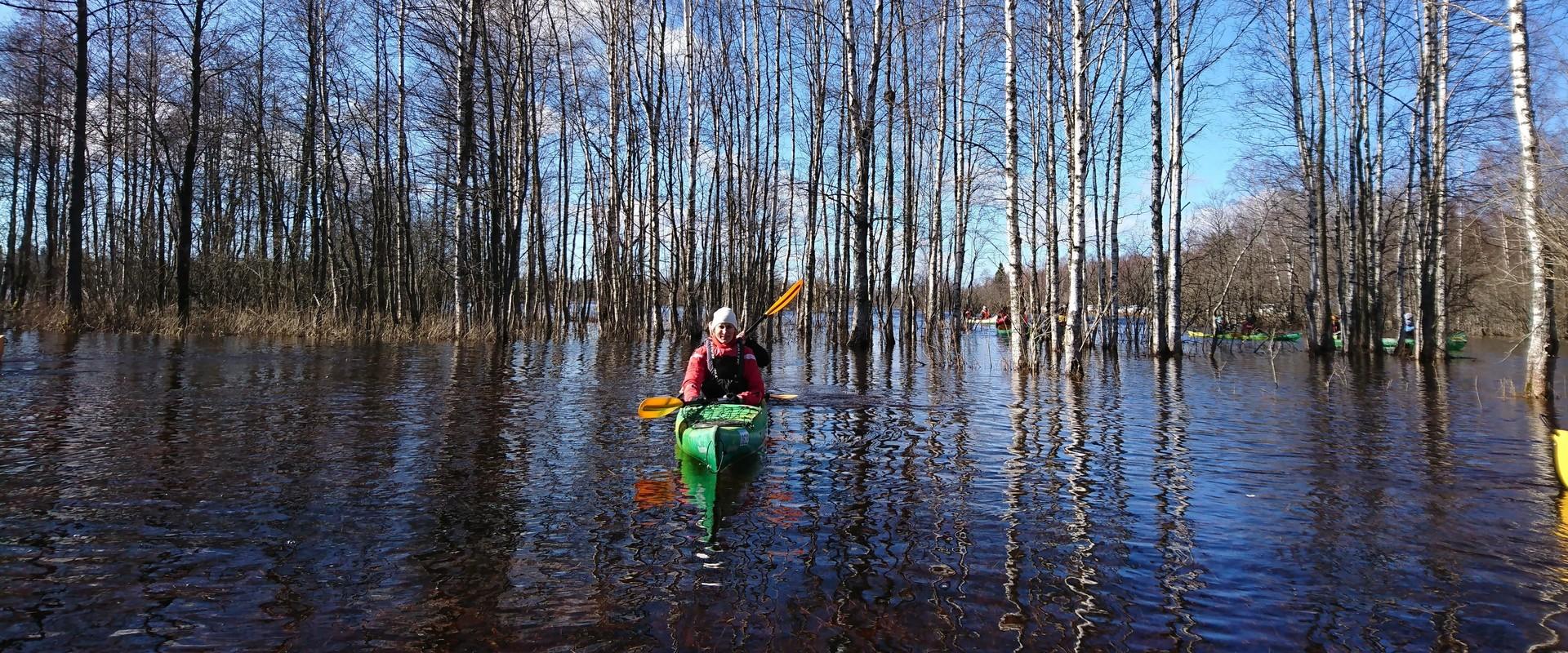 The end of March and early April is a time when a unique phenomenon can be seen in the Soomaa National Park: the Soomaa flood, or the fifth season, as