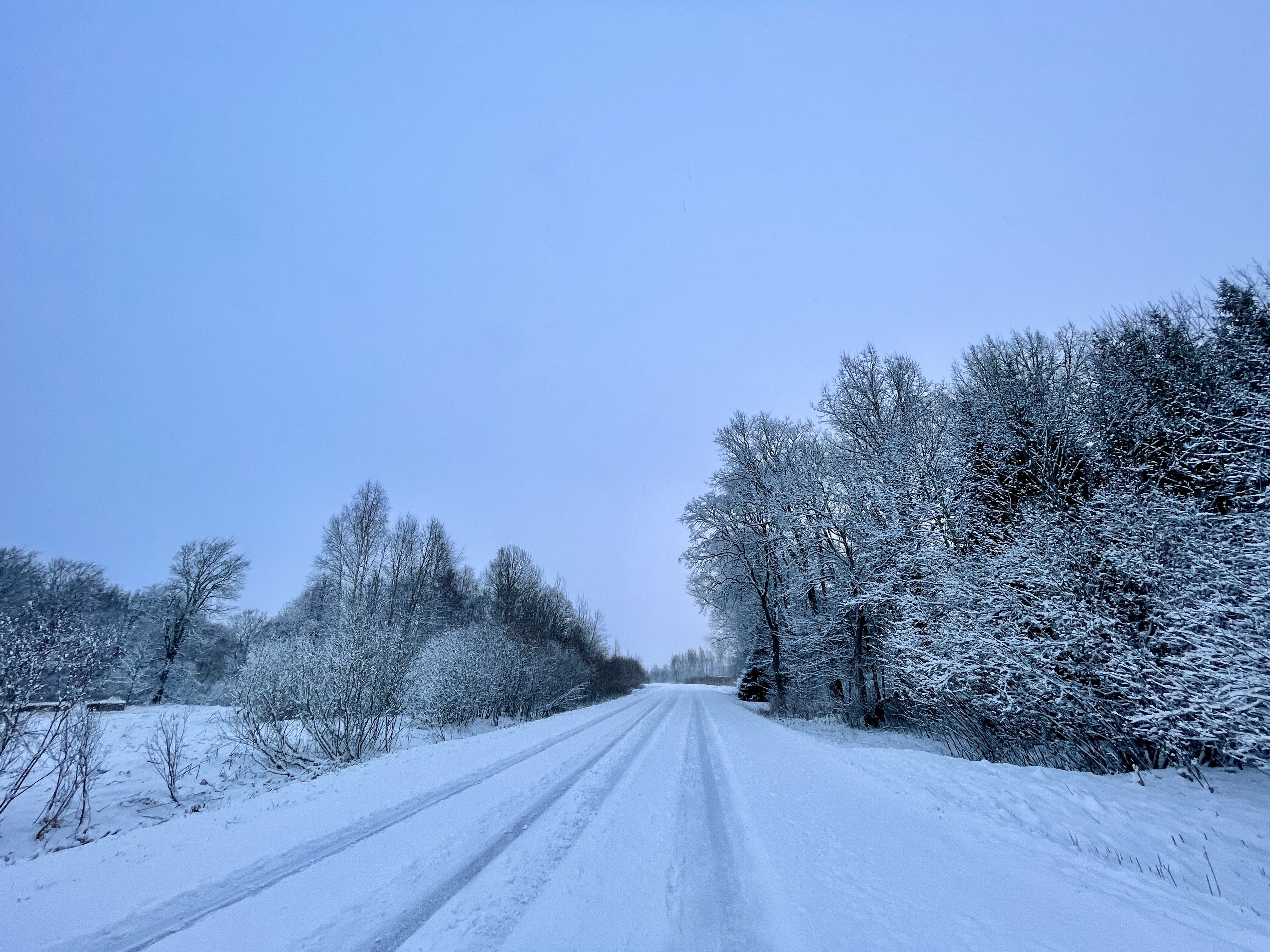 Springtime snowfall in Estonia's Soomaa National Park