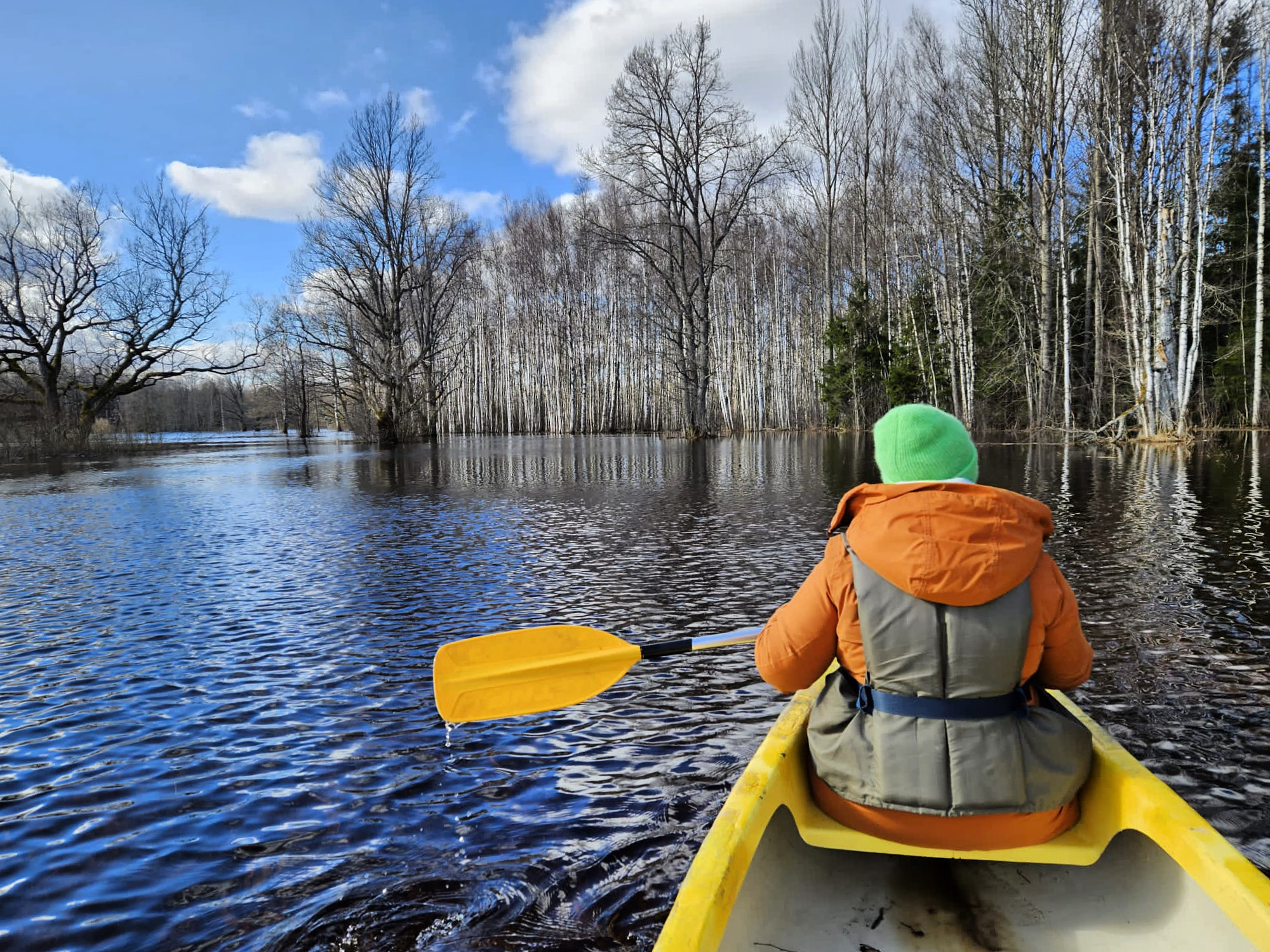 Paddle over the floodplain meadow on a sunny day in Soomaa