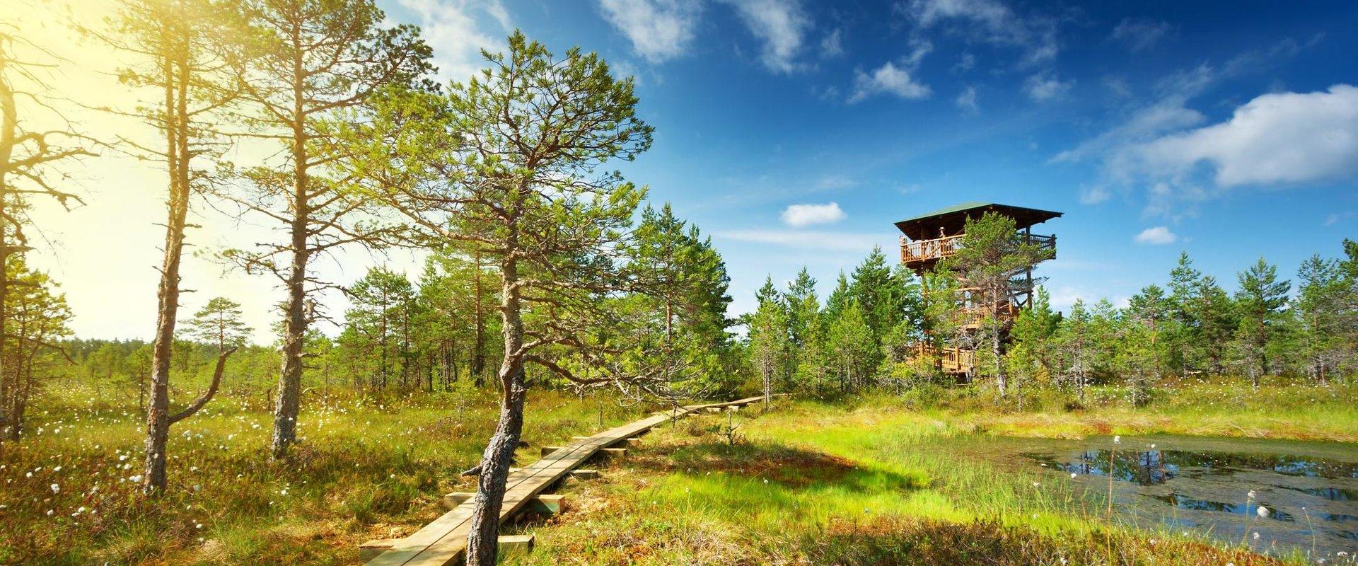 Lahemaa National Park and information point