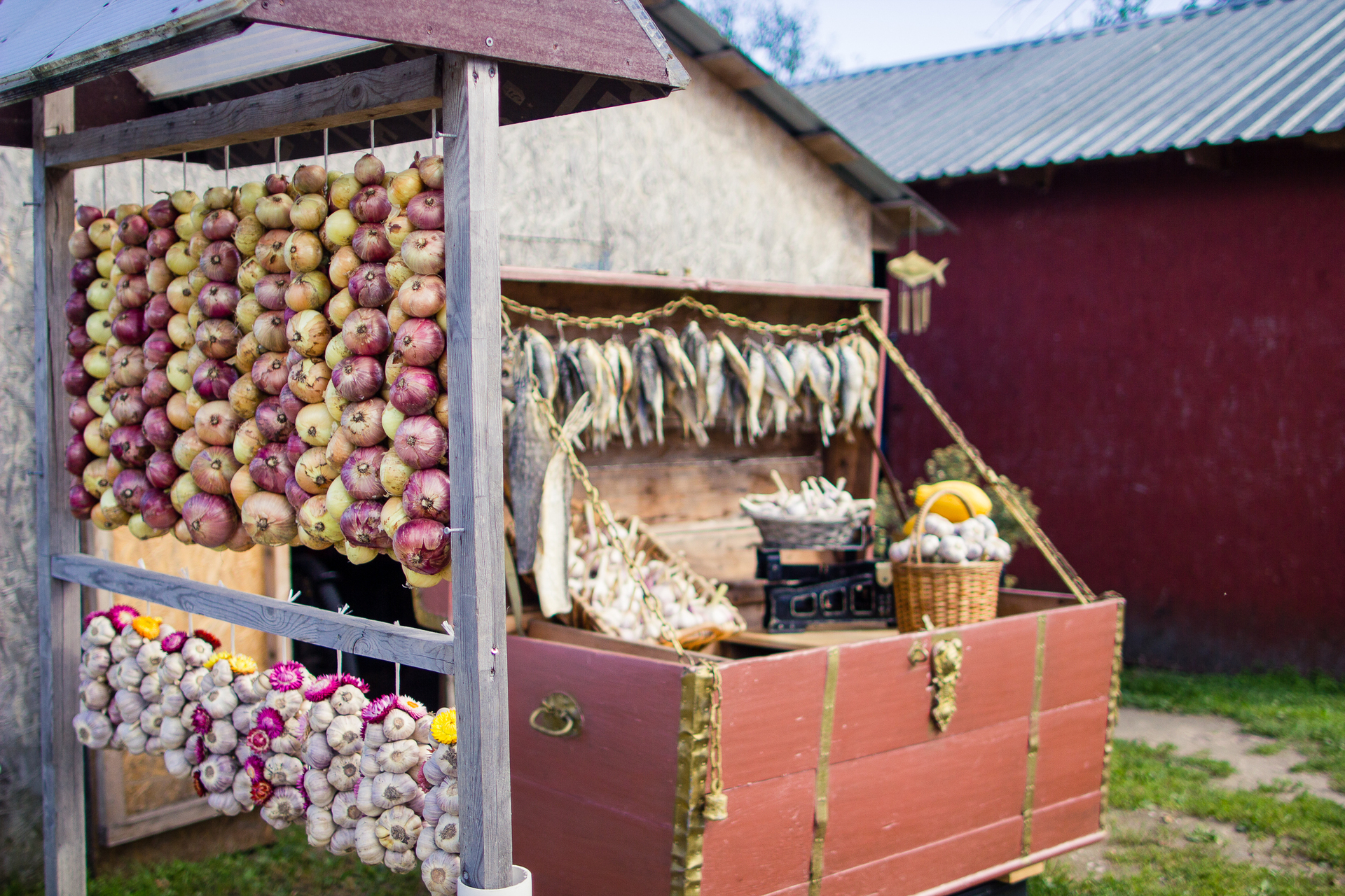 Onion route houses